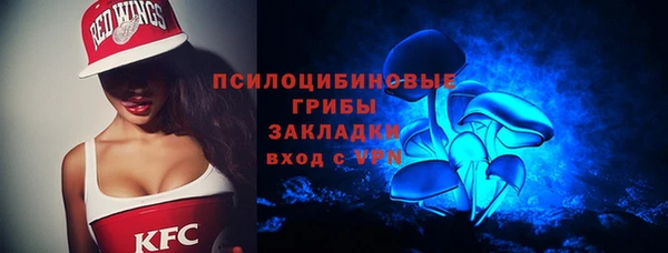 молекула духа Алексеевка