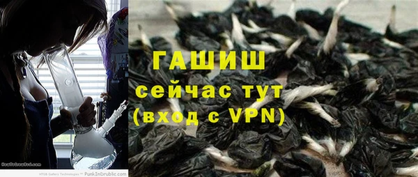 молекула духа Алексеевка